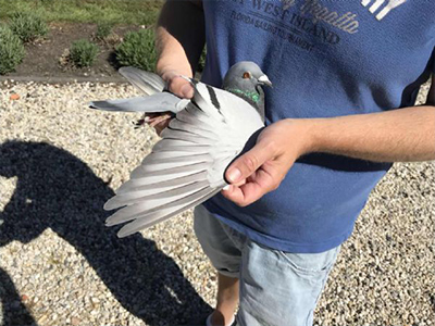 ����³һ·���¶��� ��ƿ�Ҳ����������¬��