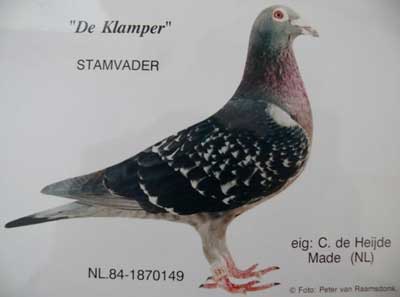 ÿ��һ�룺һ����δ�����Ĵ����ָ롰�����š�