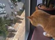�������������봰���С���� ֻ��Զ�ۺ�