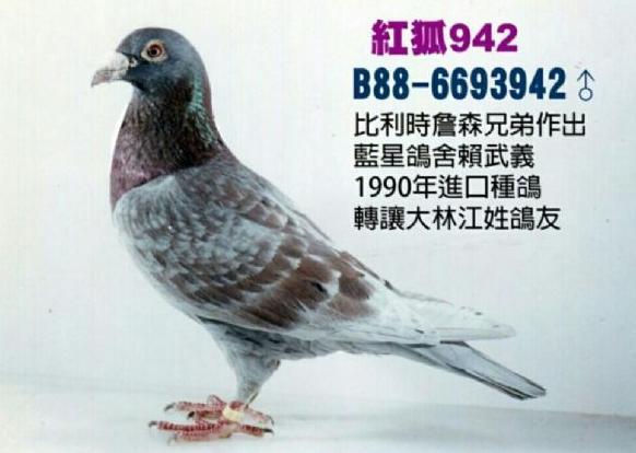 ղɭ��Ʒϵ���� ������������