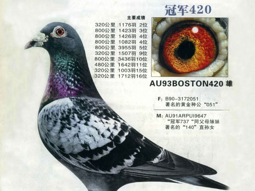 ���͵������Ϸ�ȫ�ܸ�ϵ���ָ� 