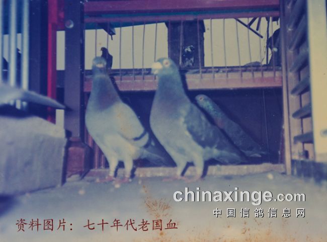 ������·���¼(07)����ԭȺ������