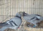 �ٿƳ�֪ʶ���������������ط�