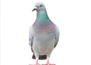 һ��������������ز����� ���ԭ���Ƕ��Ǵ���