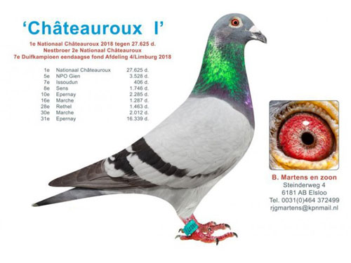 ÿ��һ�룺ͬ���ֵ��¶�NPO���Ǿ�