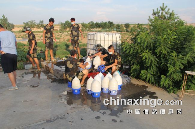 ��ֺ����� �츣�������ѣ�ͼ��