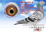 5�Գɼ������� ���������Ĳ�����