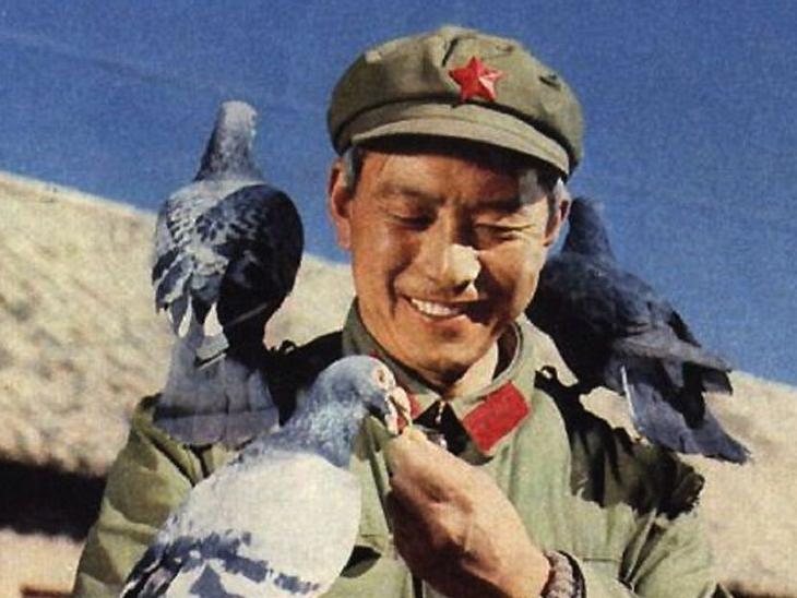 �й���������ӵĹ��� 