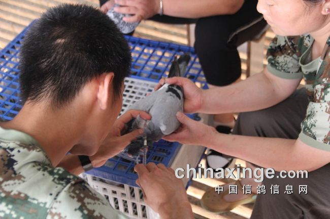 �����������ܴ����׸�����ƪ��ͼ+��Ƶ��