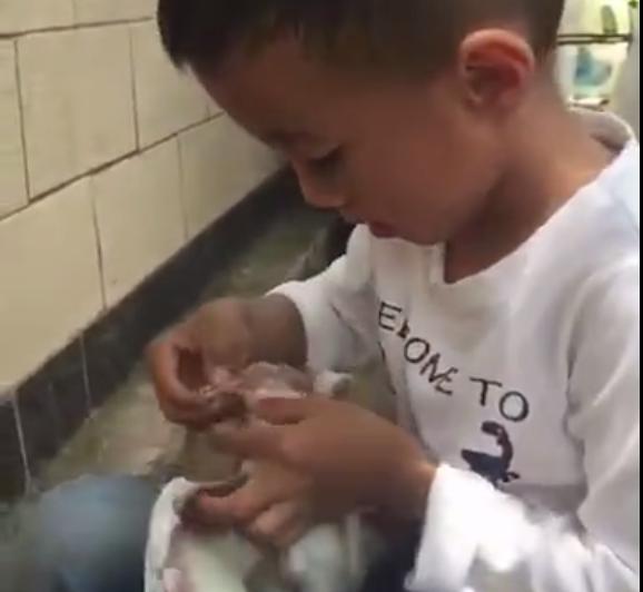 Ԫ�� �㿴������