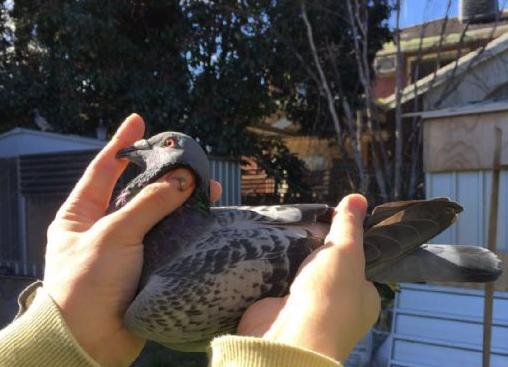 ���˸����ڰ��ޣ�ī�������½�����