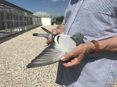 ������������£���ƿ�ǿ�ƺ�ɨ����³