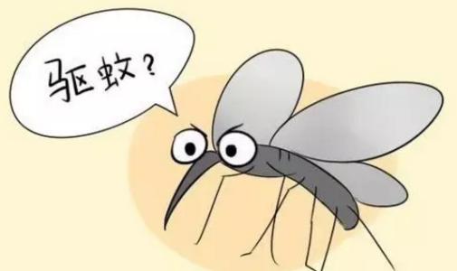 观人蚊之战 觅御鸽良策