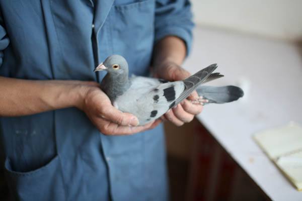 �����ѡһ������Ĳ������ӣ�