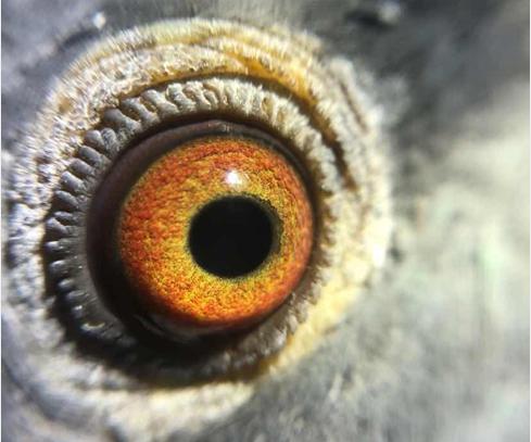 ��ֻ�۾���ÿ� ������