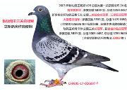ÿ��һ�룺ʡ�׸��������ܹھ� ��Ů��޶��