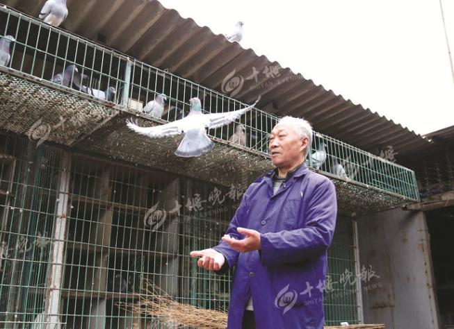 69��������������� �ϰ�ȥ�������������