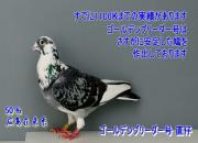 �ձ��ָ���� ������ɶ��һ��