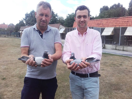 ��ŵ����˳ư�KBDB������һ��������