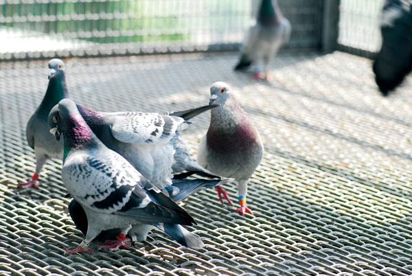 �����ɣ�̽���Ÿ�������һЩ����