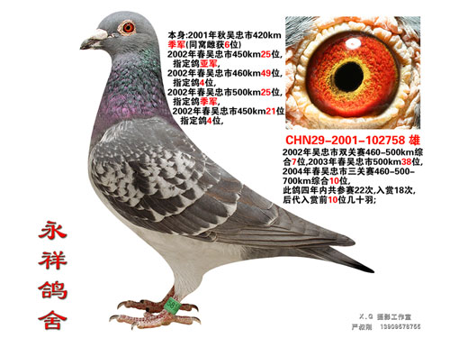 ÿ��һ�룺��������ϵ�������롰ս��