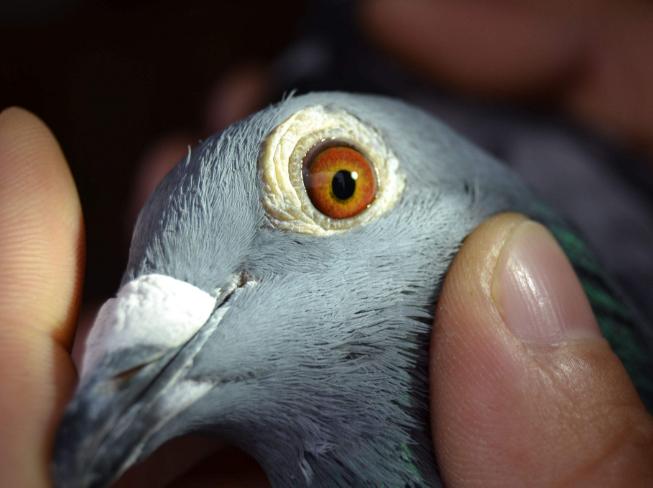 ̽�ָ��۵�Ӧ�û��⣨һ��