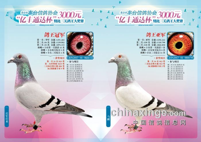 ������©���̵���Щ߳��������ְҵ�رȹھ�