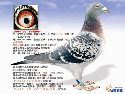 ÿ��һ�룺��ɽ�����ҵ�ƽ����