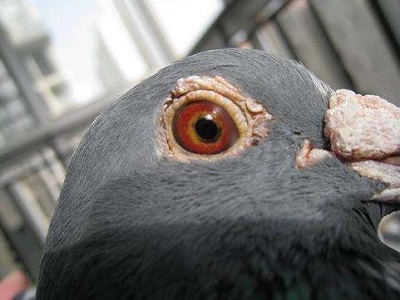 ̽�ָ��۵�Ӧ�û���(��)