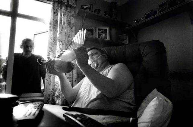 ��ʵ����ʮ���Ӣ�������˶���˥��