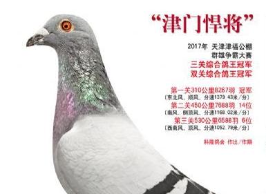 ÿ��һ�룺���ﳬ��սӥ�����ź�����