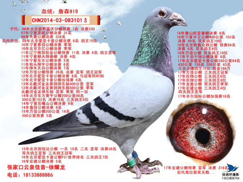 ÿ��һ�룺������ﳬ�����ӵ��ֹ�