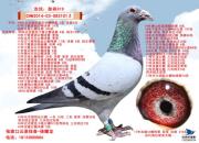 ÿ��һ�룺������ﳬ�����ӵ��ֹ�