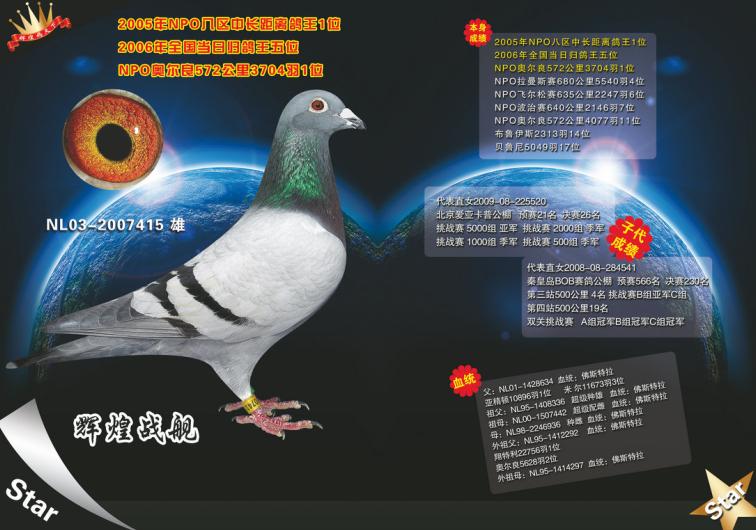 ÿ��һ�룺�������ۡ��Ի�ս����