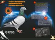 ÿ��һ�룺�������ۡ��Ի�ս����