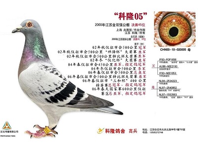 ÿ��һ�룺���ս���Ժյġ���¡05��