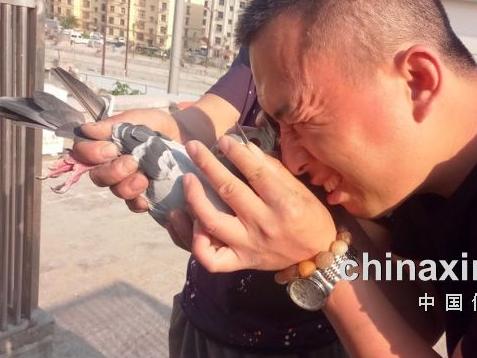 ���ڸ��۵�һ�㳣ʶ��ͼ��