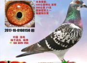 ���������һ�δ���� ������ھ��ر��Ǿ�