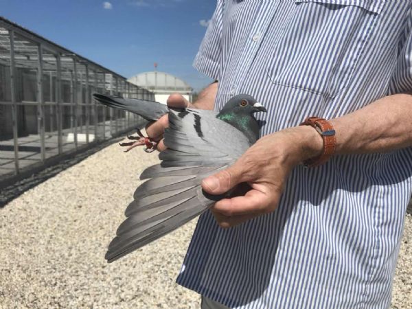 �����¼����ƿ˶����ھ� 7769����������