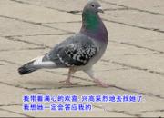 ͼ�⾭��֮�������Ǽ��ѵİ���֮·