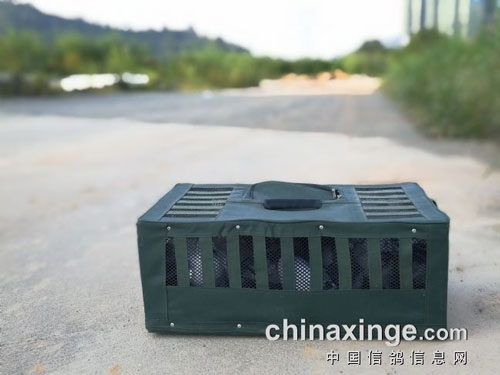 ̫����ɽѵ����ʮ����ô���