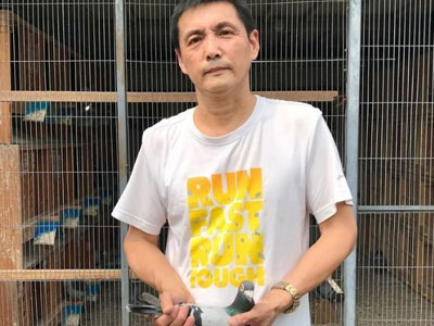 �Ĵ��ɶ��������ʱ����Ӣ���棺������Ӯ Ƶ���λ