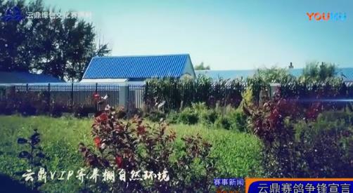 �ƶ���������Ծ �����¶���¾�