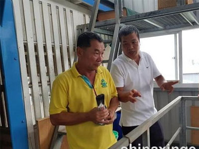 ̨��ǿ������������������弾���ȹھ�