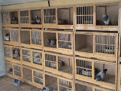 �������Լ���Ƹ���ֵ��ֵ��