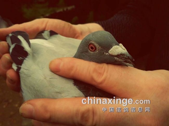 ��Զ�����䶯�������Ĵ��ܺ����ĸ���