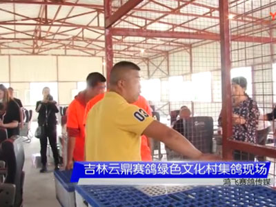 ��Ƶ�������ƶ�VIP�����������ʸ���ȫ��¼