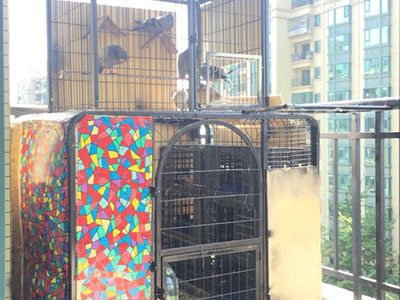 �����ĸ��� ��̨������ʧ��