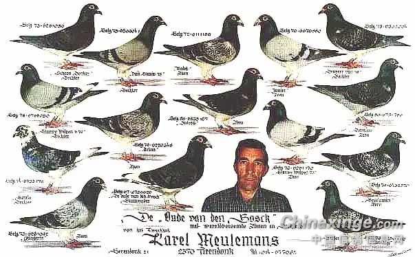 ÿ��һ�룺Ļ��������󼯺�����