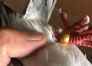 ���ϵ��½��ָ
